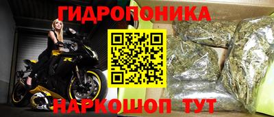 каннабис Новодвинск