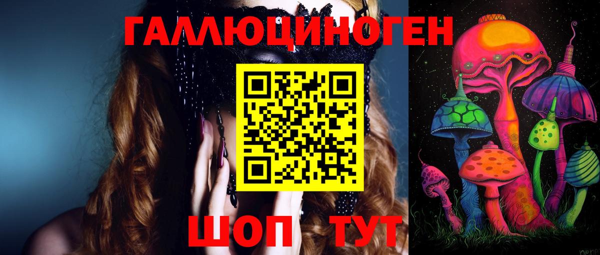 Сорочинск  Псилоцибиновые грибы мухоморы  Вход с VPN 